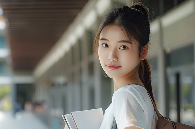 广东省美术联考成绩234分，若不单考，有什么学校可以报？