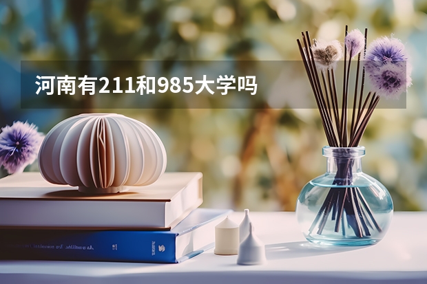 河南有211和985大学吗