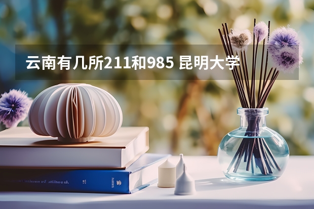 云南有几所211和985 昆明大学是985还是211