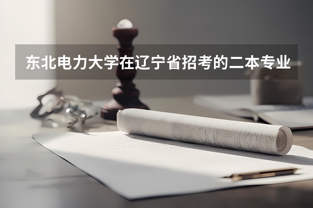 东北电力大学在辽宁省招考的二本专业有哪些