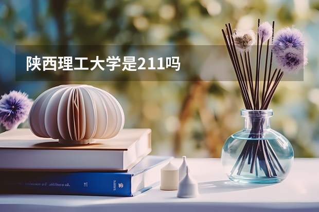 陕西理工大学是211吗