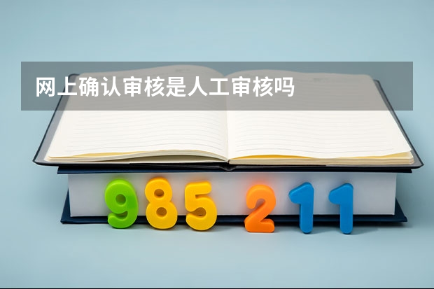 网上确认审核是人工审核吗