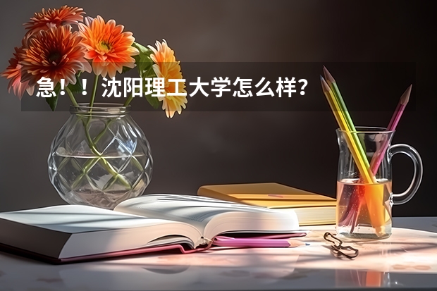 急！！沈阳理工大学怎么样？