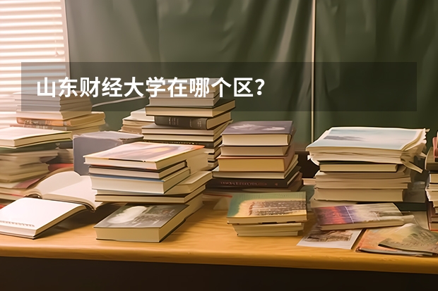 山东财经大学在哪个区？