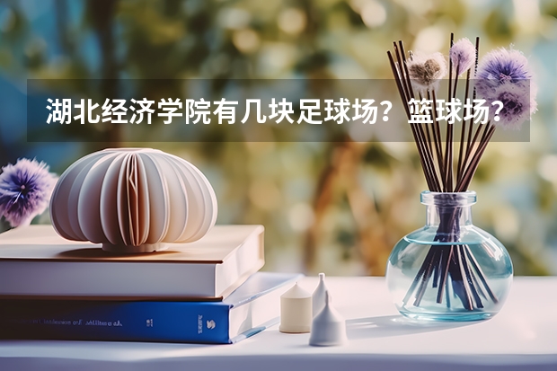 湖北经济学院有几块足球场？篮球场？网球场？羽毛球场?其它的硬件设施又怎样呢？