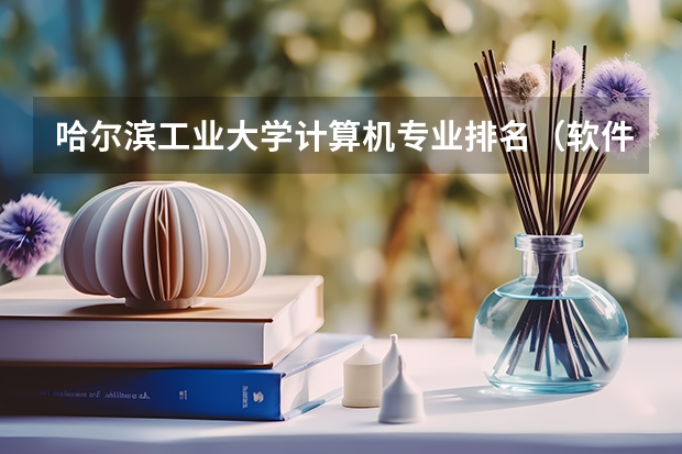 哈尔滨工业大学计算机专业排名（软件工程考研学校）