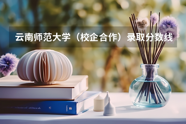 云南师范大学（校企合作）录取分数线是多少？