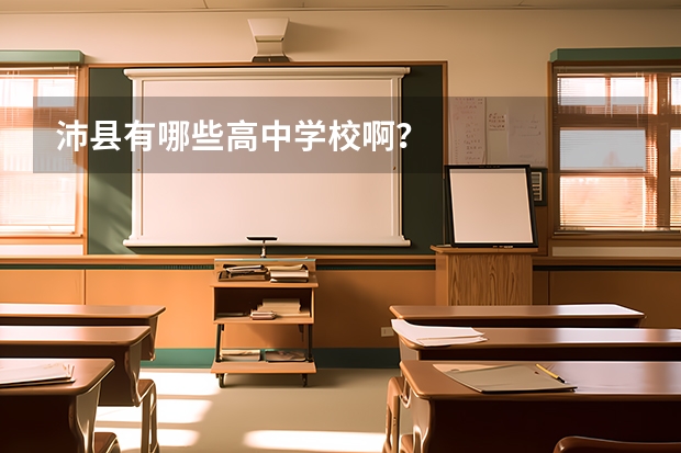 沛县有哪些高中学校啊？