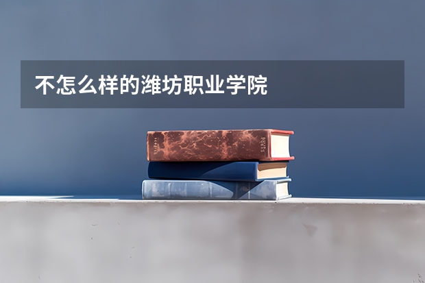 不怎么样的潍坊职业学院