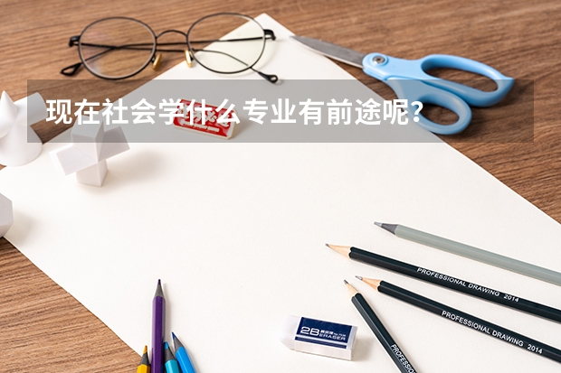 现在社会学什么专业有前途呢？