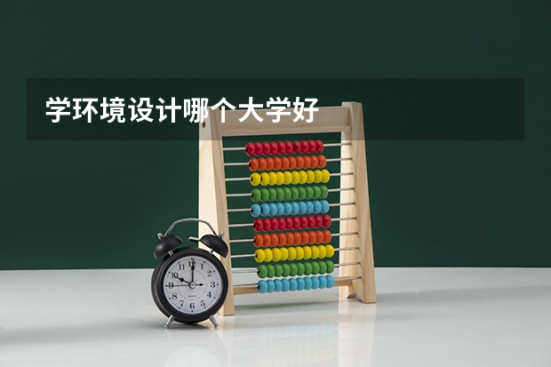 学环境设计哪个大学好