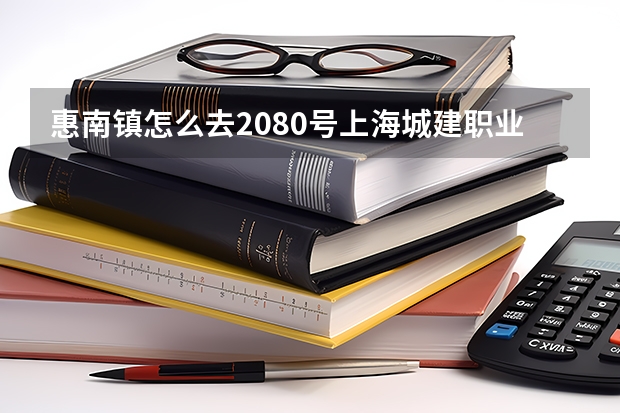 惠南镇怎么去2080号上海城建职业技术学院