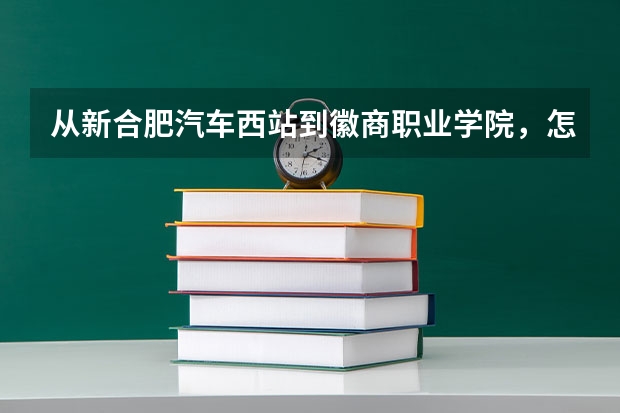 从新合肥汽车西站到徽商职业学院，怎么走。