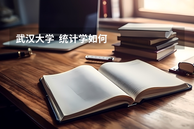 武汉大学  统计学如何