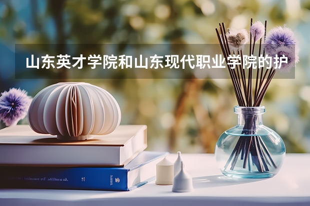 山东英才学院和山东现代职业学院的护理这个专业哪个学校比较好