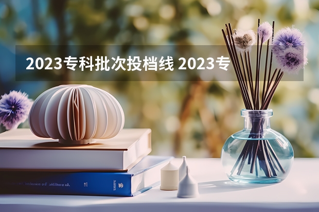 2023专科批次投档线 2023专科院校投档线