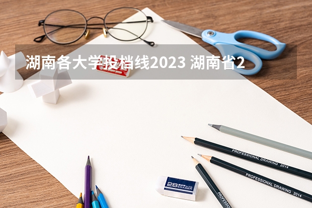 湖南各大学投档线2023 湖南省2023年各高校录取分数线