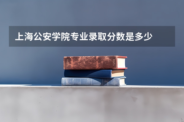 上海公安学院专业录取分数是多少