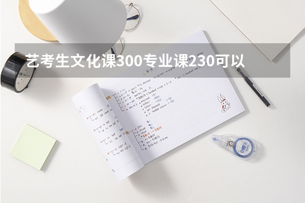 艺考生文化课300专业课230可以报什么大学？