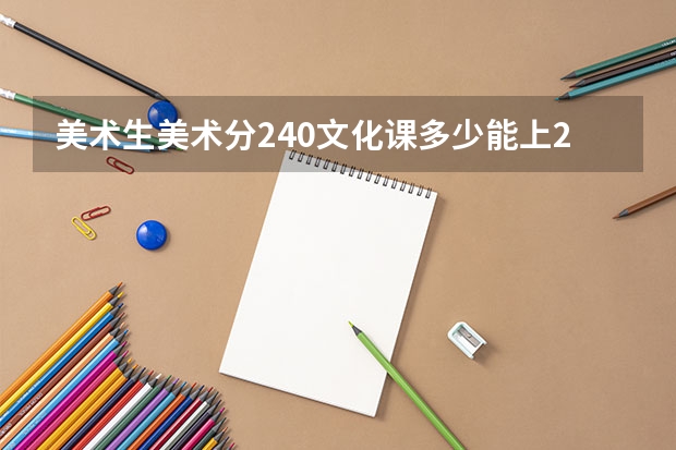 美术生美术分240文化课多少能上211？