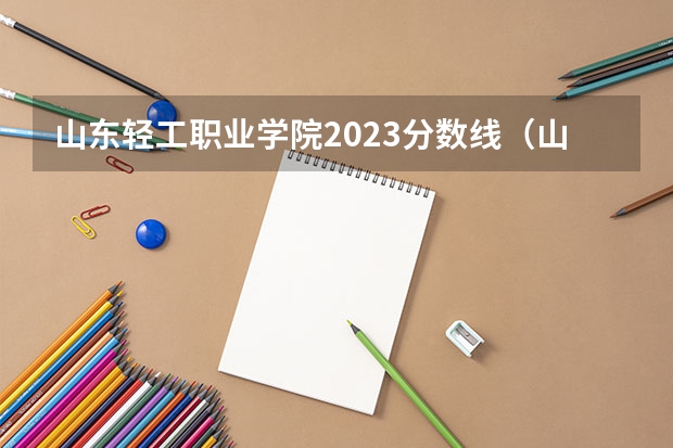 山东轻工职业学院2023分数线（山东理工职业学院单招2023分数线）