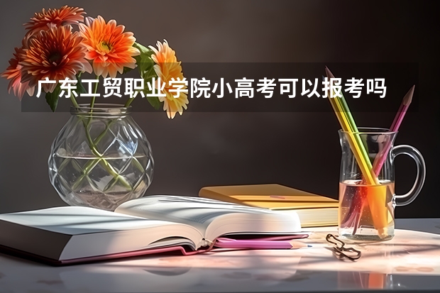 广东工贸职业学院小高考可以报考吗