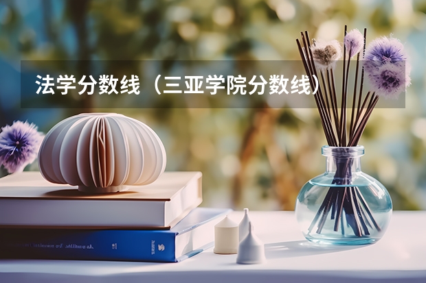 法学分数线（三亚学院分数线）