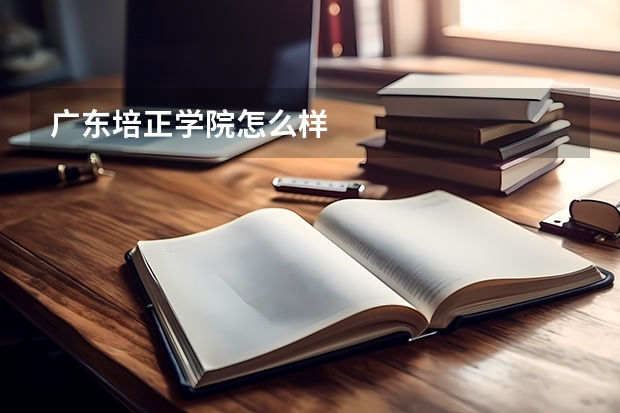 广东培正学院怎么样