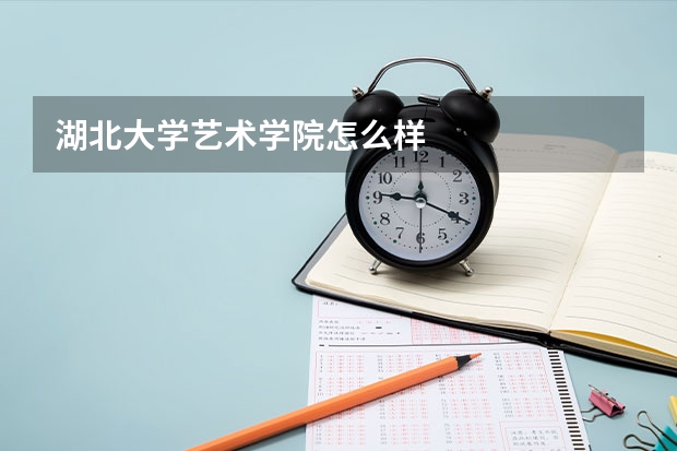 湖北大学艺术学院怎么样