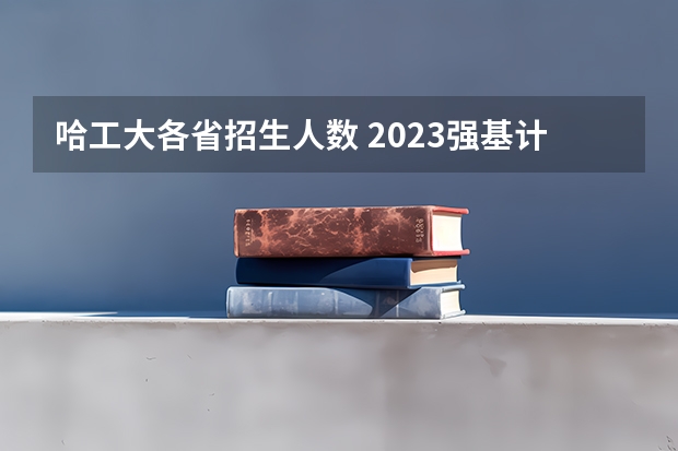 哈工大各省招生人数 2023强基计划报名人数