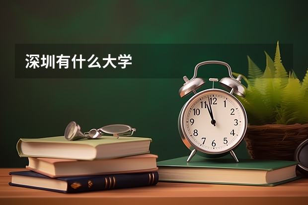 深圳有什么大学