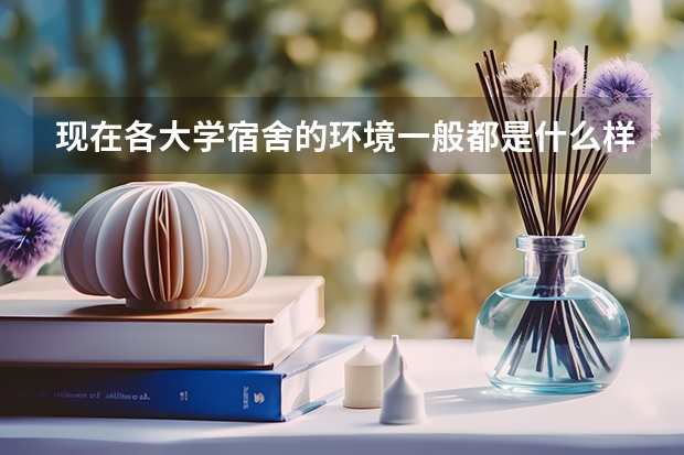 现在各大学宿舍的环境一般都是什么样的？为什么说大学宿舍毁了很多人？