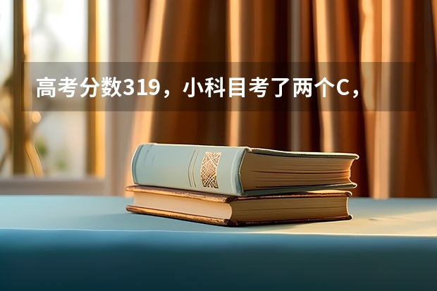 高考分数319，小科目考了两个C，能报名上什么学校好呢？一一