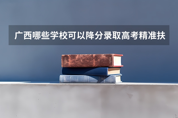 广西哪些学校可以降分录取高考精准扶贫专项计划的学生？