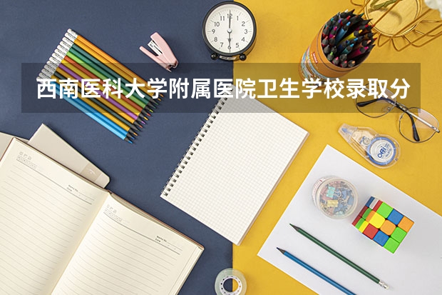 西南医科大学附属医院卫生学校录取分（2023西南医科大学录取分数线）