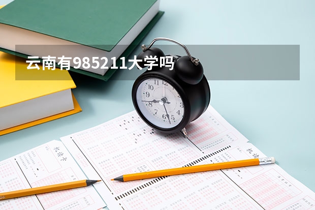 云南有985211大学吗