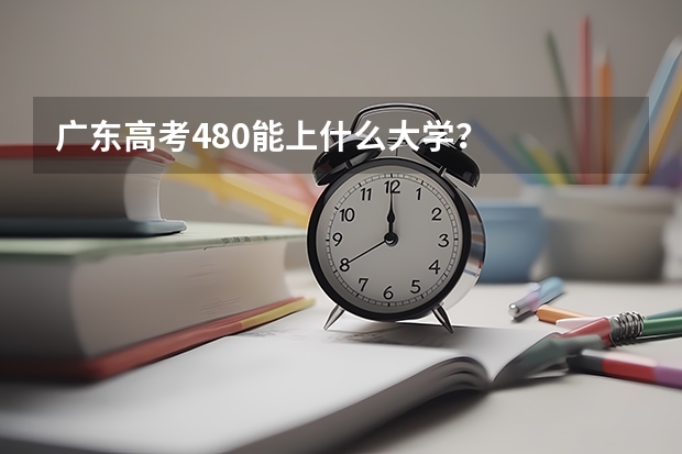 广东高考480能上什么大学？