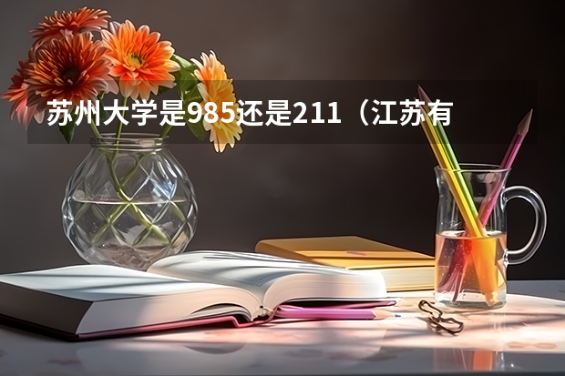 苏州大学是985还是211（江苏有几所985和211）